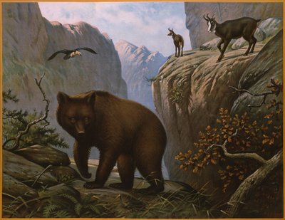 Wild Animals Living in the Alps by Marinus Adrianus Koekkoek